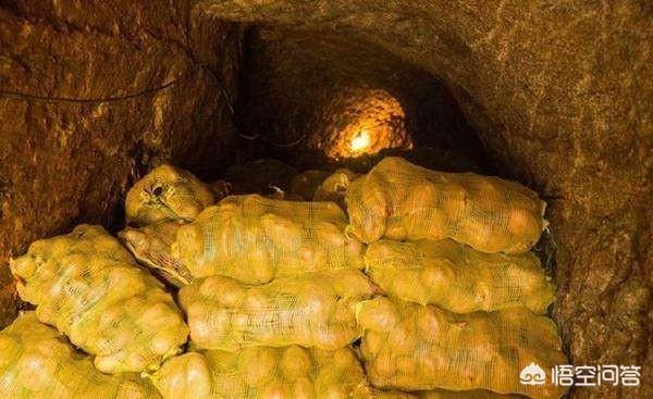 過(guò)年必須吃什么菜？
