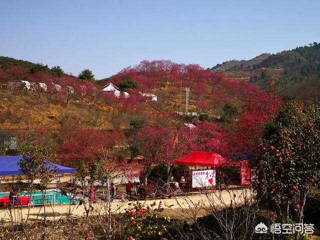 在網(wǎng)上曬旅游圖片，分享旅游經(jīng)歷，有網(wǎng)友回復(fù)說：真有錢！對于這個問題你怎么看？
